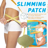 Lose Weight Fast Safe Beautiful Healthy Fat Burning Metabolism Booster