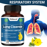 Lung Detox Mullein - with NAC Quercetin & Cordyceps Extract