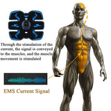 Fitness Electric Stimulators | EMS Muscle Stimulator | Retiredgrma